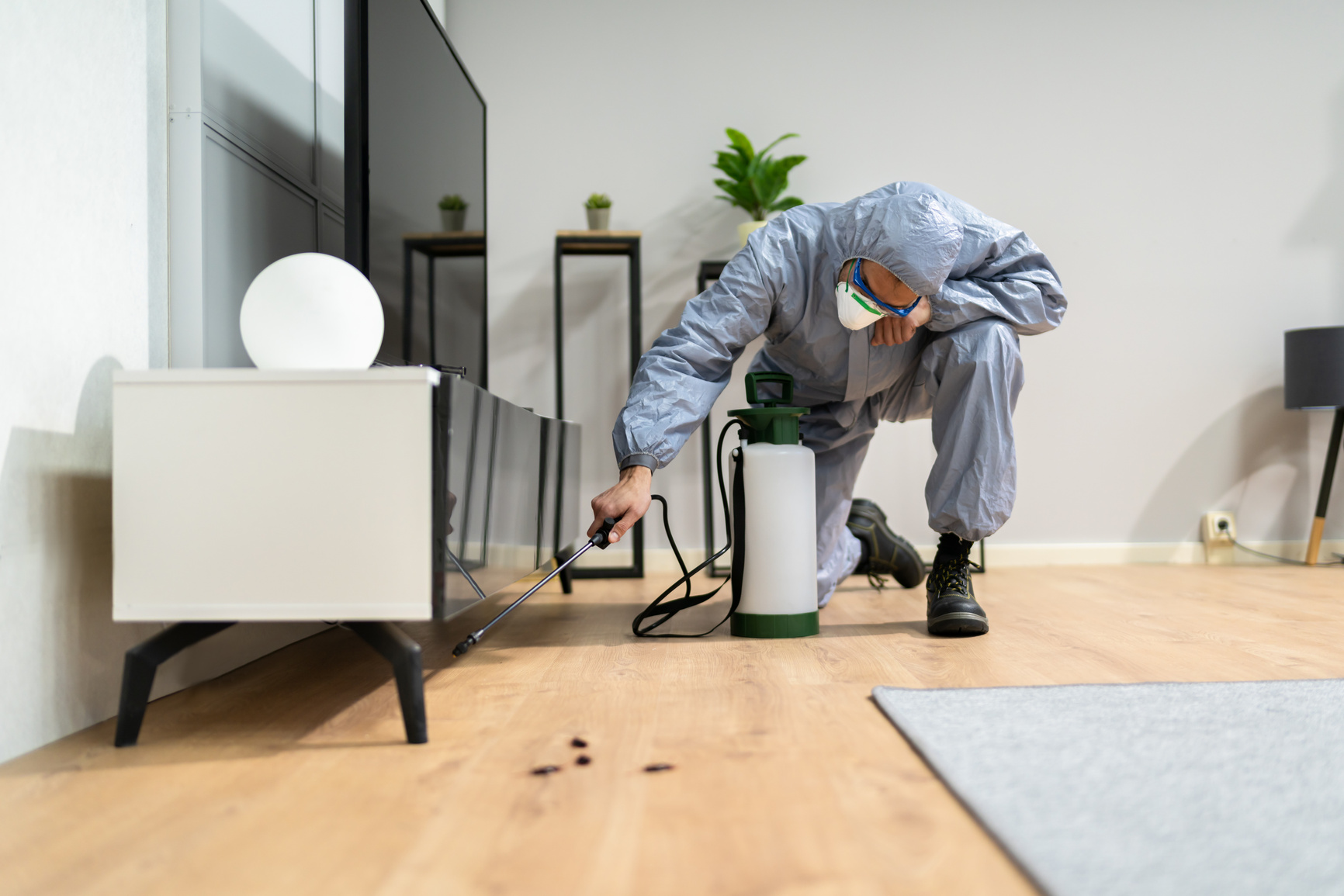 Pest Control Exterminator Man Spraying Termite Pesticide